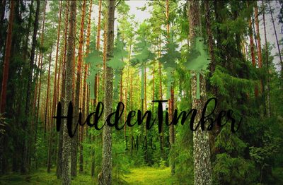 Client testimonial 2